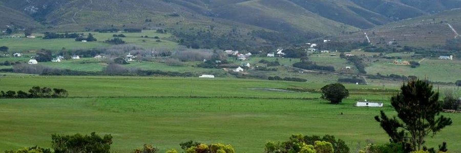 Gansbaai Baardskeerdersbos Huiseienaarsvereniging_1